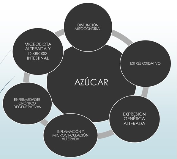 azucar-diagrama