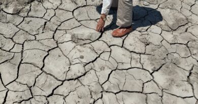 Secretaria del Campo cuenta con diagnóstico sobre afectaciones por sequía