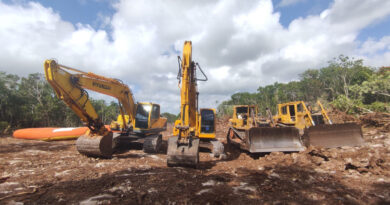 SFP investiga a Fonatur por daño al medio ambiente en obras del Tren Maya